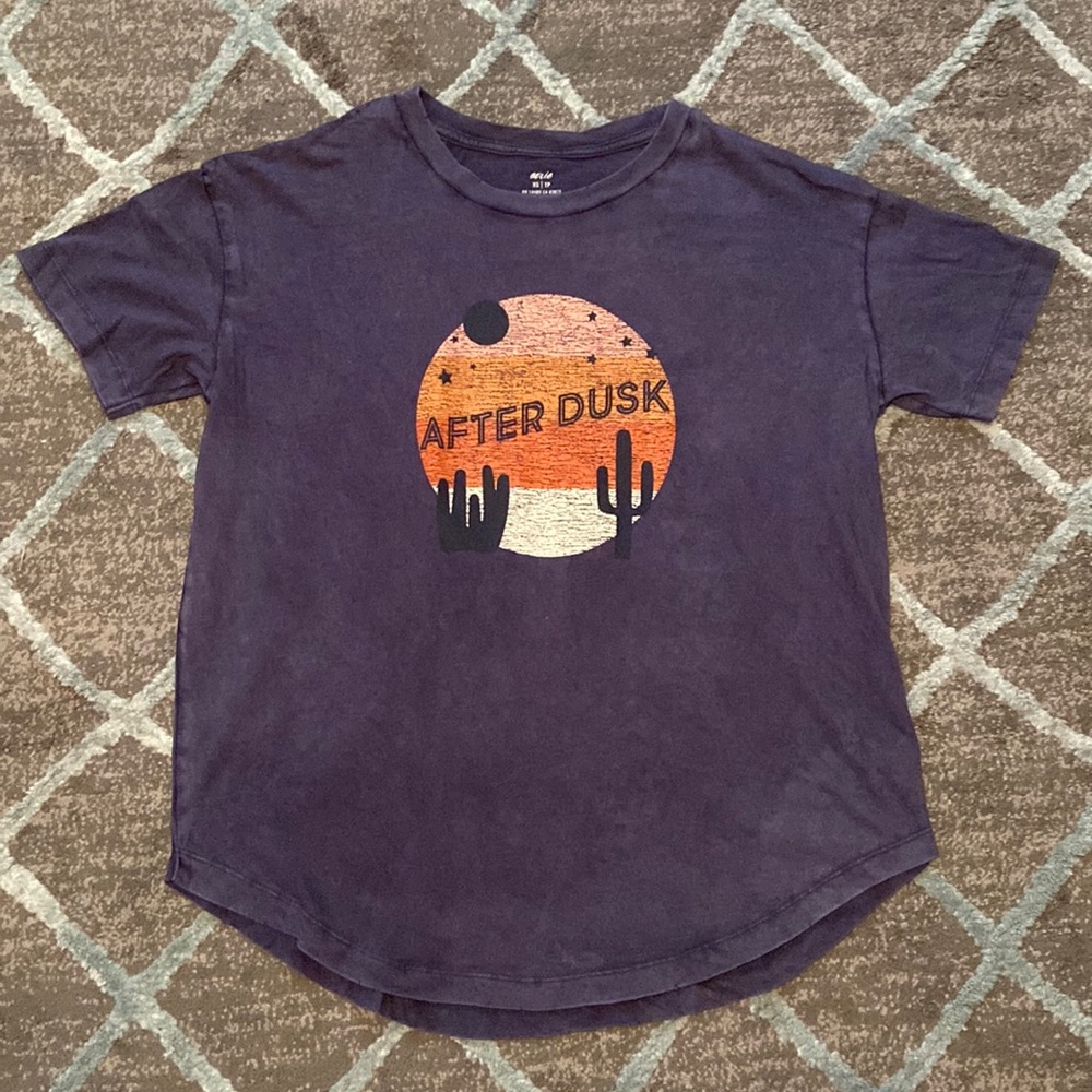 Aerie Distressed Boyfriend Western Graphic Tee, Blue, Size XS